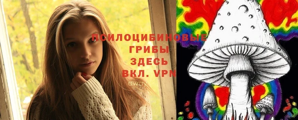 трава Медногорск