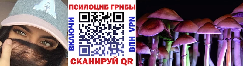 Псилоцибиновые грибы Psilocybine cubensis  blacksprut зеркало  Шахты 